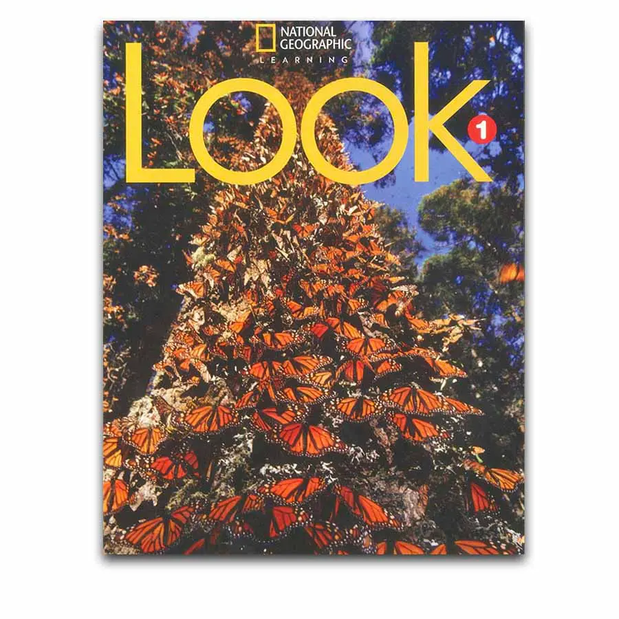 Look teacher book PDF, Audio